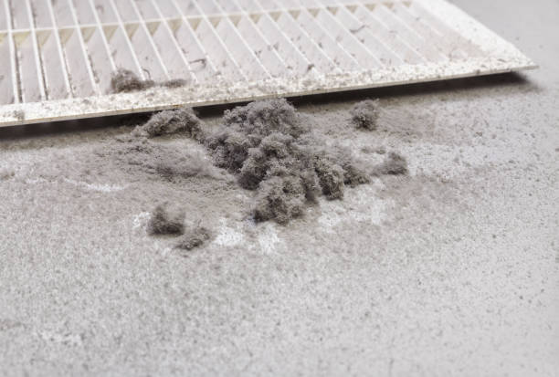 Best HVAC System Cleaning  in Stryker, OH