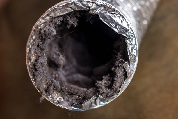 Best Home Air Vent Cleaning  in Stryker, OH